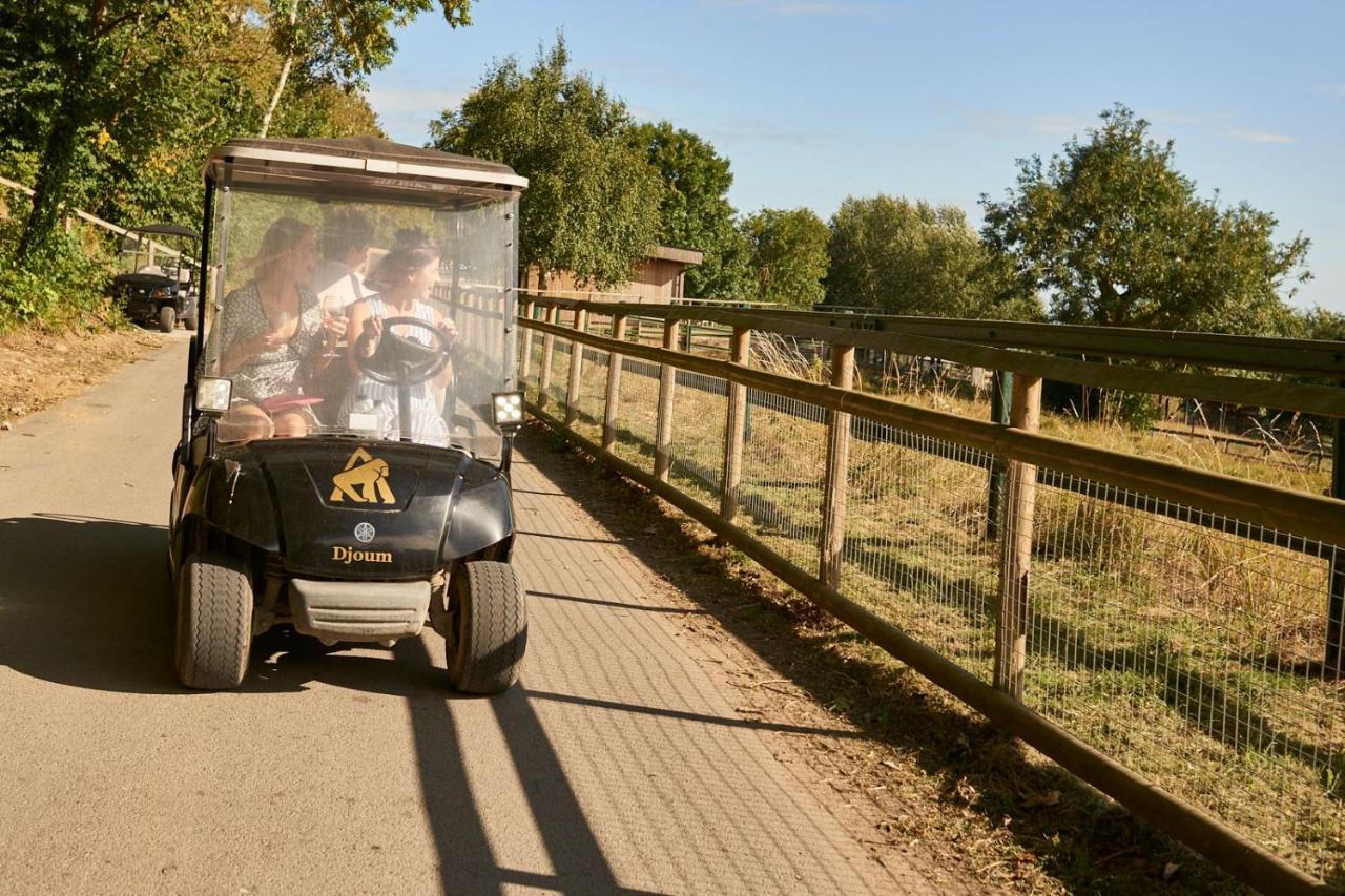 Port Mansion 4* Lympne