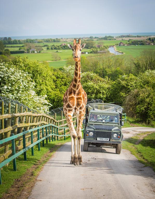 Hotel Port Mansion Lympne
