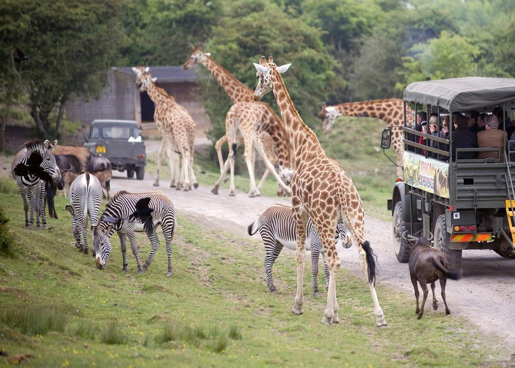 Port Mansion Lympne